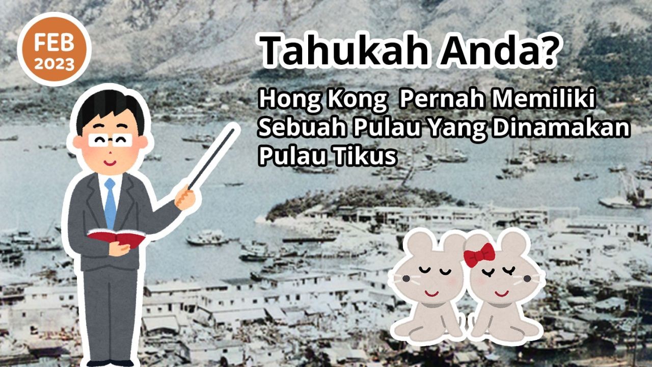 Tahukah Anda? Hong Kong Pernah Memiliki Sebuah Pulau Yang Dinamakan Pulau Tikus